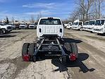 2024 Chevrolet Silverado 5500 Regular Cab DRW 2WD Cab Chassis for sale #CF4T480958 - photo 2