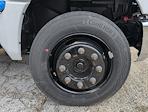 New 2024 Chevrolet Silverado 6500 Regular Cab 20' 6" Knapheide Stake Bed for sale #CF4T692663 - photo 29