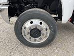 2024 Chevrolet Silverado 5500 Regular Cab DRW 4WD Cab Chassis for sale #CF4T710856 - photo 22
