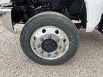 2024 Chevrolet Silverado 5500 Regular Cab DRW 4WD Cab Chassis for sale #CF4T710856 - photo 6
