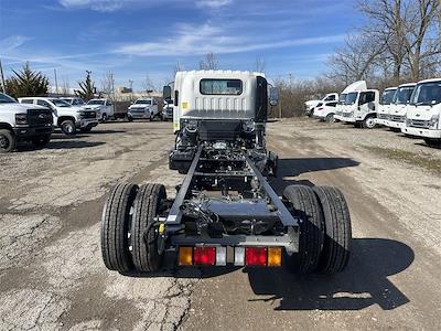 New 2024 Chevrolet LCF 5500HD Regular Cab Cab Chassis for sale #CF4T902356 - photo 2