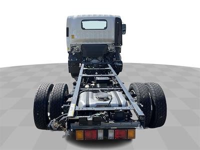 New 2024 Chevrolet LCF 5500XG Regular Cab Cab Chassis for sale #CX4TR02130 - photo 2