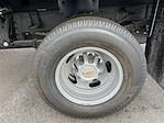 2025 Chevrolet Silverado 3500 Regular Cab DRW 4WD Flatbed Truck for sale #CX5T219495 - photo 13