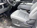 2024 Ford F-250 Crew Cab 4WD Pickup for sale #REE47667 - photo 10