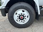 2025 Ford F-750 Regular Cab DRW 4x2 Box Truck for sale #SDF09504 - photo 9