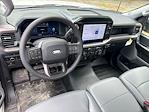 2025 Ford F-150 Regular Cab RWD Pickup for sale #SKD50098 - photo 15