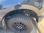 2022 Ford F-350 Crew Cab SRW 4x4 Pickup for sale #1063A - photo 6