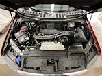 2023 Ford F-150 SuperCrew Cab 4x4 Pickup for sale #32359Z - photo 28