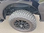 2023 Ford F-250 Crew Cab 4WD Pickup for sale #32627Z - photo 11
