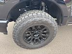 2023 Ford F-250 Crew Cab 4WD Pickup for sale #32627Z - photo 5