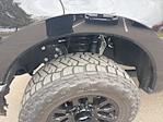 2023 Ford F-250 Crew Cab 4WD Pickup for sale #32627Z - photo 6