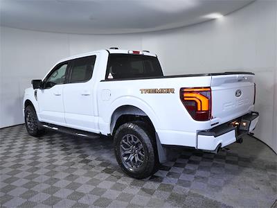 Used 2024 Ford F-150 - photo 1