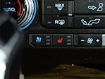 2020 Ford F-150 SuperCrew Cab 4x4 Pickup for sale #93966A - photo 22