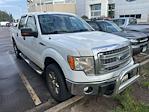 2013 Ford F-150 SuperCrew Cab 4x4 Pickup for sale #93966B - photo 1