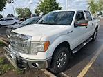 2013 Ford F-150 SuperCrew Cab 4x4 Pickup for sale #93966B - photo 5
