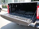 2023 Ford F-450 Crew Cab DRW 4x4 Pickup for sale #94697A - photo 12