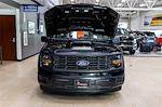 2025 Ford F-150 Regular Cab RWD Pickup for sale #94950 - photo 3