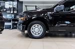 2025 Ford F-150 Regular Cab RWD Pickup for sale #94950 - photo 6