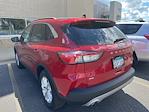 2020 Ford Escape 4x4 SUV for sale #95025A - photo 4