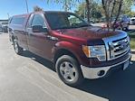2010 Ford F-150 Regular Cab RWD Pickup for sale #95104A - photo 1