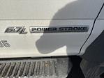 2022 Ford F-550 Regular Cab DRW 4WD Cab Chassis for sale #F322A - photo 3