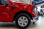 2025 Ford F-150 Regular Cab RWD Pickup for sale #F417 - photo 7