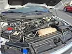 Used 2022 Ford F-150 XLT Regular Cab for sale #305414 - photo 27