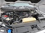 2023 Ford F-150 SuperCrew Cab 4x4 Pickup for sale #308697 - photo 30