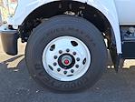 2025 Ford F-650 Regular Cab DRW 4x2 Morgan Truck Body Box Truck for sale #316796 - photo 5