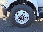 2025 Ford F-650 Regular Cab DRW 4x2 Morgan Truck Body Box Truck for sale #317076 - photo 5