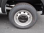 2024 Ford Transit 250 Low Roof RWD Empty Cargo Van for sale #321088 - photo 6
