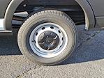 New 2024 Ford Transit 250 Low Roof Empty Cargo Van for sale #321340 - photo 6