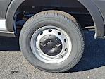 New 2025 Ford Transit 250 Low Roof Empty Cargo Van for sale #322954 - photo 5