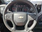 2024 Chevrolet Silverado 1500 Regular Cab 4x2 Pickup for sale #326832 - photo 16