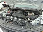 2024 Chevrolet Silverado 1500 Regular Cab 4x2 Pickup for sale #327356 - photo 21