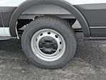New 2026 Ford Transit 150 Low Roof Empty Cargo Van for sale #329563 - photo 5
