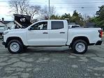 2024 Chevrolet Colorado Crew Cab 4WD Pickup for sale #CM2608A - photo 6