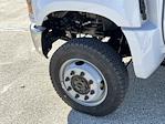 New 2024 Chevrolet Silverado 4500 Regular Cab Dump Truck for sale #24C915 - photo 29