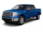2010 Ford F-150 SuperCrew Cab 4WD Pickup for sale #24F664C - photo 1