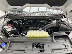 2023 Ford F-150 SuperCrew Cab 4WD Pickup for sale #25C152B - photo 33