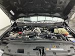 2023 Ford F-250 Crew Cab 4WD Pickup for sale #25F268A - photo 31