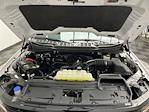 2024 Ford F-150 SuperCrew Cab 4WD Pickup for sale #T6774 - photo 31