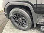 2024 GMC Sierra 1500 Crew Cab 4WD Pickup for sale #T8391 - photo 44