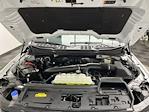 2024 Ford F-150 SuperCrew Cab 4WD Pickup for sale #24F856 - photo 32