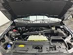 2024 Ford F-150 SuperCrew Cab 4WD Pickup for sale #24F866 - photo 26