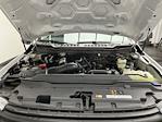 2025 Ford F-250 Regular Cab 4WD Pickup for sale #25F107 - photo 22