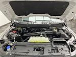2025 Ford F-150 SuperCrew Cab 4WD Pickup for sale #25F123 - photo 29