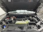 2025 Ford F-150 SuperCrew Cab 4WD Pickup for sale #25F137 - photo 31