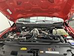 New 2025 Ford F-250 XL Crew Cab 4WD Pickup for sale #25F145 - photo 24