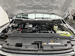 2025 Ford F-350 Regular Cab SRW 4WD Pickup for sale #25F148 - photo 23
